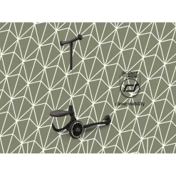 Scoot & Ride ^ Stepjes