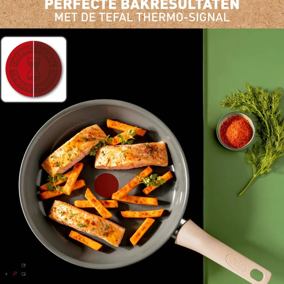 Tefal Revive Koekenpan (O20 Cm) Clearance