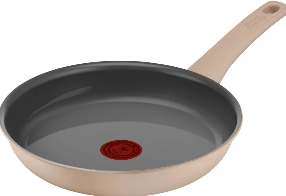 Tefal Revive Koekenpan (O24 Cm) Best