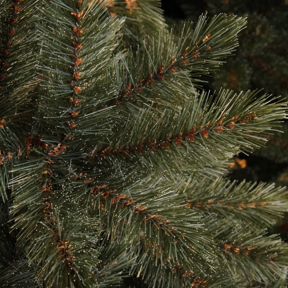 Triumph Tree Kerstboom Forest Frosted (H215 X O140 Cm) Best