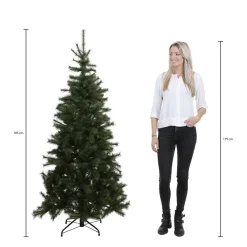 Triumph Tree Kerstboom Sherwood (H185Xo127 Cm) New