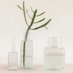 Urban Nature Culture Vaas Veli New