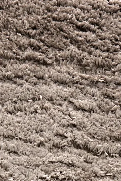 Wehkamp Home Vloerkleed (O160 Cm) New