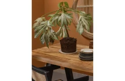 Woood Eettafel Mango Tablo Hot