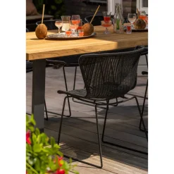 Woood Eettafelstoel Wings - Set Van 2^ Tuinstoelen